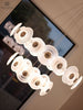 Modern Luxury Petal Shape Chandelier CL130 - MEW Lighting
